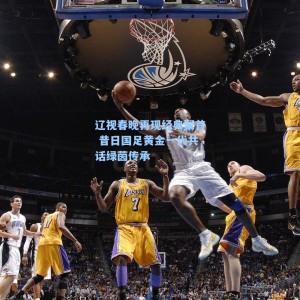 辽视春晚再现经典聚首 昔日国足黄金一代共话绿茵传承