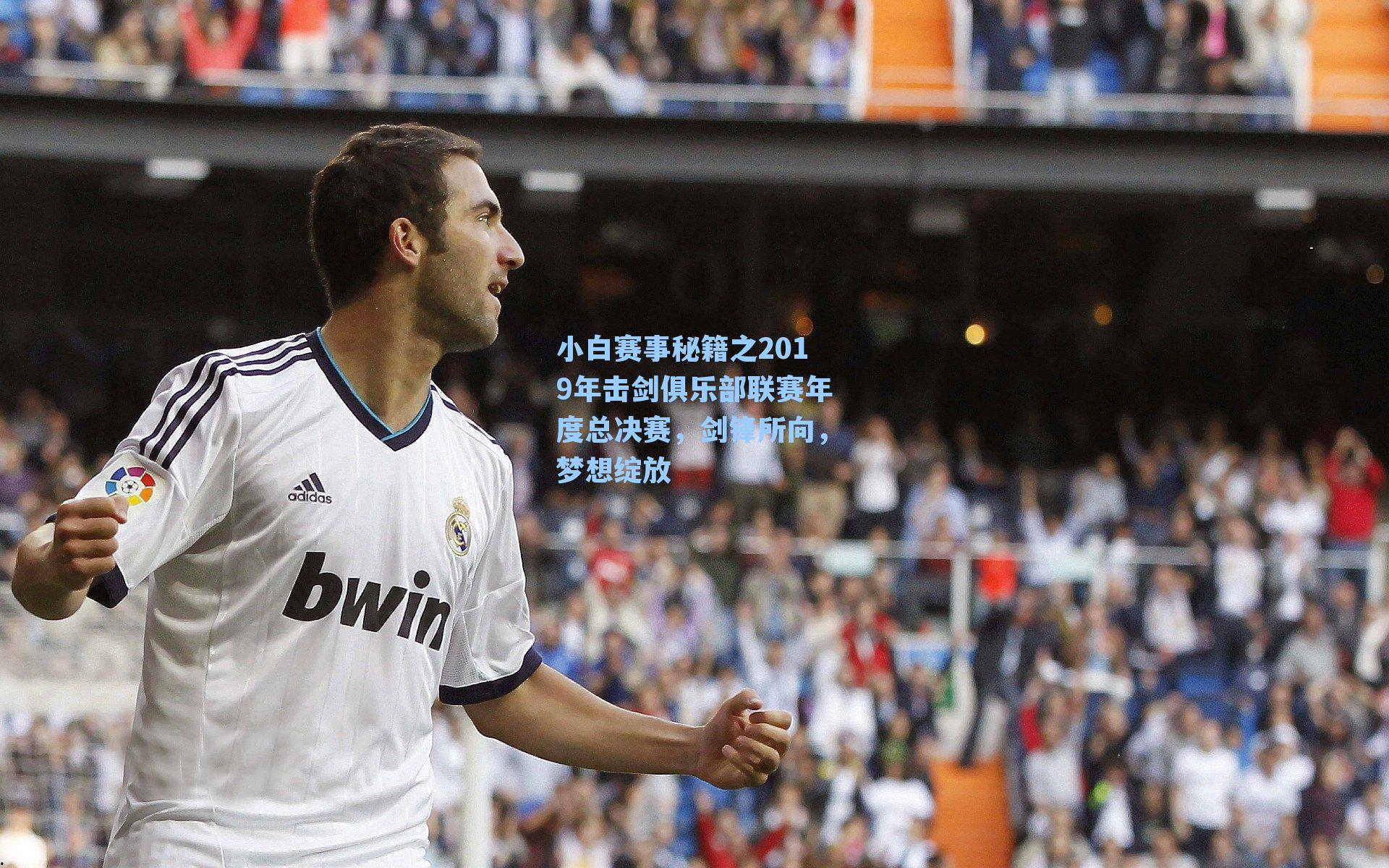 小白赛事秘籍之2019年击剑俱乐部联赛年度总决赛,剑锋所向,梦想绽放