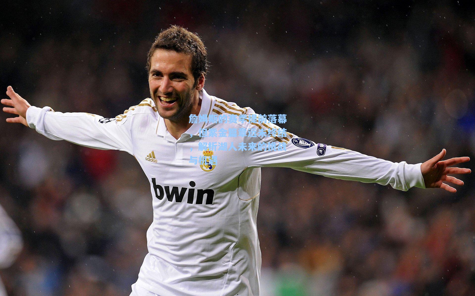 詹姆斯的赛季提前落幕,但紫金篇章远未终结,解析湖人未来的挑战与机遇